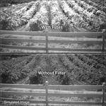 B+W 55mm Digital Pro 093 (87C) Infrared Filter
