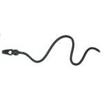 California Sunbounce Bungee Snakes (10 Pieces) for Sun-Scrim