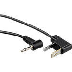 Impact Sync Cord Male Mini to Male Household (10')