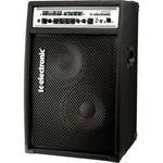 tc electronic BG500 2 x 10 - Bass Guitar Amplifier/Speaker Combo (Dual 10" Drivers)
