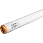 Kino Flo 2' Kino 800ma KF32 True Match Fluorescent Lamp (6 Lamps)