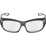 Panasonic BTPGL10G 3D Polarized Glasses (Passive)