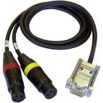 Cable Techniques CT-DE15/2 - Cabo de Mic Digital de Dois XLR-F de 3 Pinos para DE-15 para 788T (30" (762mm))