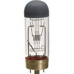 General Brand DAY Lamp - 500W/120V