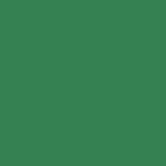 Foba TT Plast Plastic Background Sheet (51 x 40", Green, 1 Sheet)