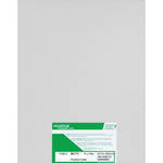 Fujifilm Crystal Archive Type II Paper (8 x 10", Matte, 100 Sheets)