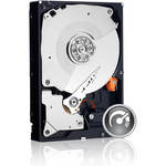 Western Digital Disco R�gido SATA (OEM) de 2TB WD2002FAEX Caviar Black
