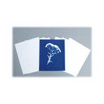 Blue Sunprints Cyanotype Paper - 8 x 10" (12 Sheets)