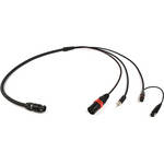 Remote Audio BCSMFV2442 Boom Cable System V2 Mixer Fanout for Sound Devices 442
