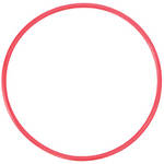 Olympus POL-EP-3 O-Ring for PT-EP03 Underwater Housing