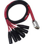 Avid DB25-XLRM DigiSnake - Analog or Digital Output Snake (4-Foot)