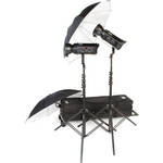 Bowens Gemini Classic 250C 2 Light Umbrella Kit (120V)