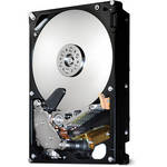 Hitachi 3 TB 3.5" Ultrastar 7K3000 Enterprise Hard Drive
