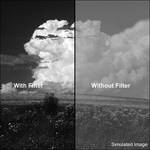 B+W 37 mm 091 Dark Red (029)    Glass Filter