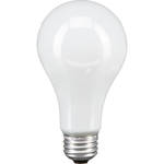 Ushio PH213 Lamp (250W / 115-120V)