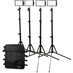 Ikan IDK4312 iLED 312 Standard Interview Kit
