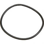 Ikelite O-Ring (Replacement)