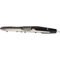 Akai EWI4000s - Electronic Wind Instrument