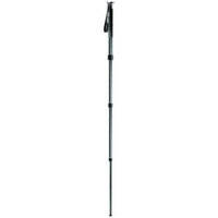 Gitzo Series 2 GM2541 6X Carbon Monopod - 4 Section with G-Lock