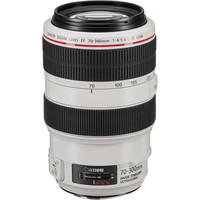 Canon EF 70-300mm f/4-5.6L IS USM Telephoto Lens