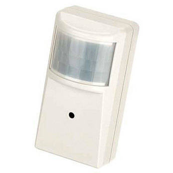 ARM Electronics C380PIR Color PIR Camera