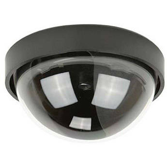 ARM Electronics DMD6 Dummy Dome Camera  
