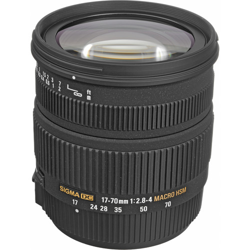 Sigma 17-70mm f/2.8-4 DC Macro HSM Lens for Sony