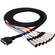 Hosa Technology DTM803 DB-25 to 8-Channel 3-Pin XLR Snake Cable - 9.9' (3 m)