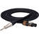 Hosa Technology SKT-200 Series Speakon to 1/4" Male Speaker Cable (12 Gauge) - 3'