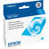 Epson Cyan Ink Cartridge