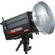 Norman ML600R Monolight (#810653)