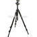 Manfrotto 3021BPRO Tripod (Black) with 488RC2 Ballhead
