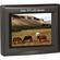EverFocus EN-200 - Monitor LCD de 5,6"