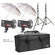 Norman ML400R 2 Monolight Kit