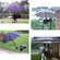 Omega Probrella Portable Protective Umbrella