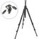 Manfrotto 055XPROB - Pernas de Trip� (Cor Preta) com Cabe�a 804RC2 