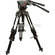 Manfrotto 3186 Tripod Legs (Black) with 516 Fluid Head
