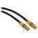 Pearstone VBBC-3100 Premium BNC Video Cable,  100'