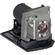 Optoma Technology BL-FP200G Replacement Projector Lamp
