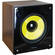 Technical Pro MRS-10SUB 8" 100W Front-Firing Subwoofer
