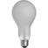 Eiko ECT Lamp (500W/120V)