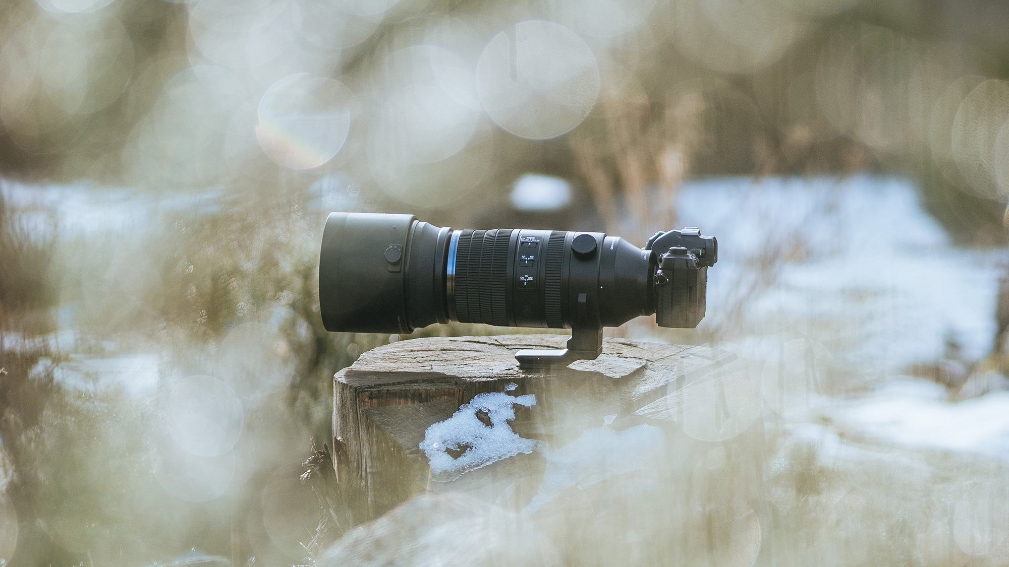 OM-D Mark II with M.Zuiko Digital ED 150-600mm f/5-6.3 IS