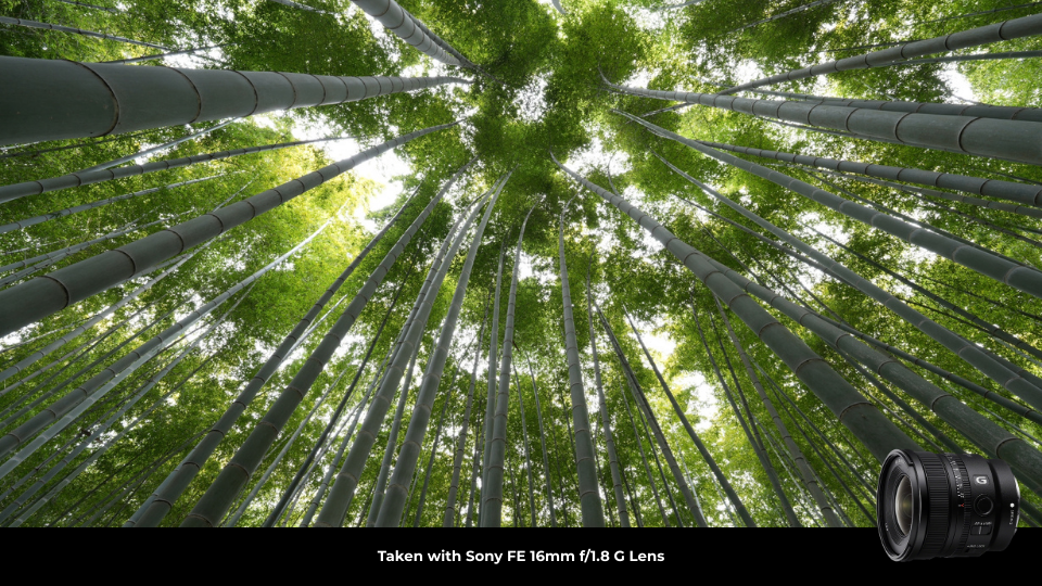 Sony FE 16mm f/1.8 G Lens Sony FE 16mm f/1.8 G Lens