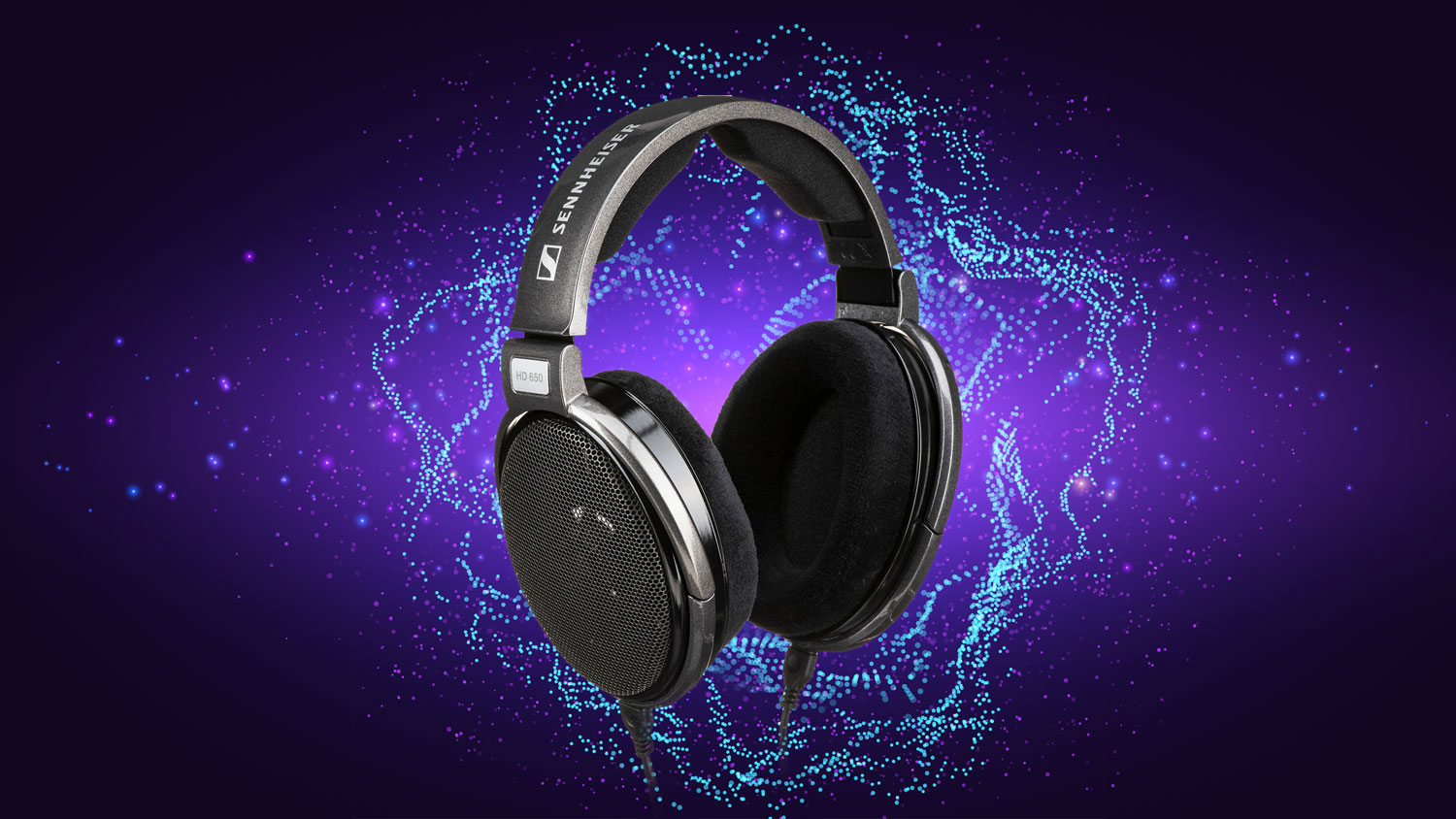 Sennheiser HD 650 Stereo Reference Headphones