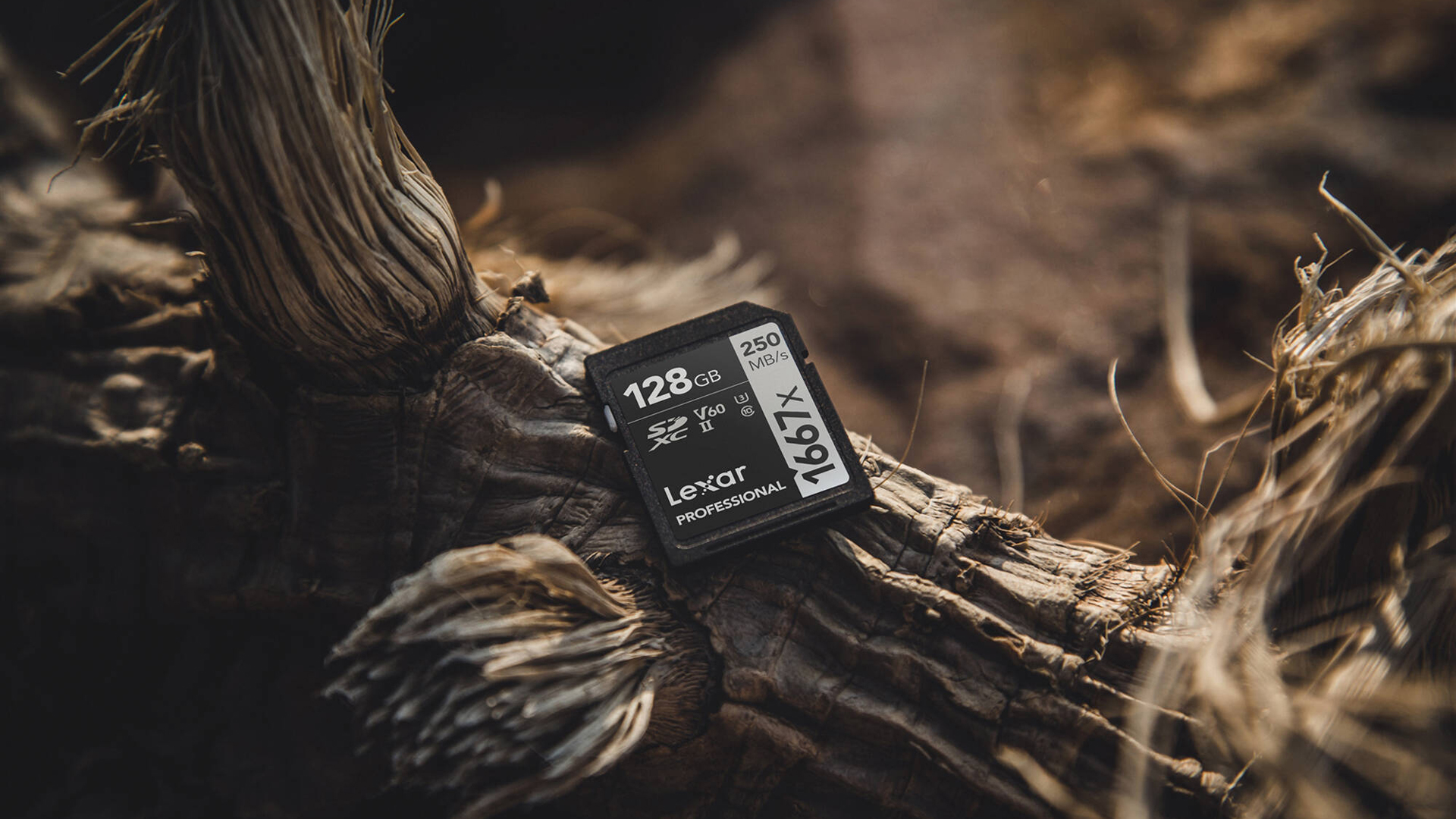 Lexar 128GB Professional 1667x UHS-II SDXC Memory Card