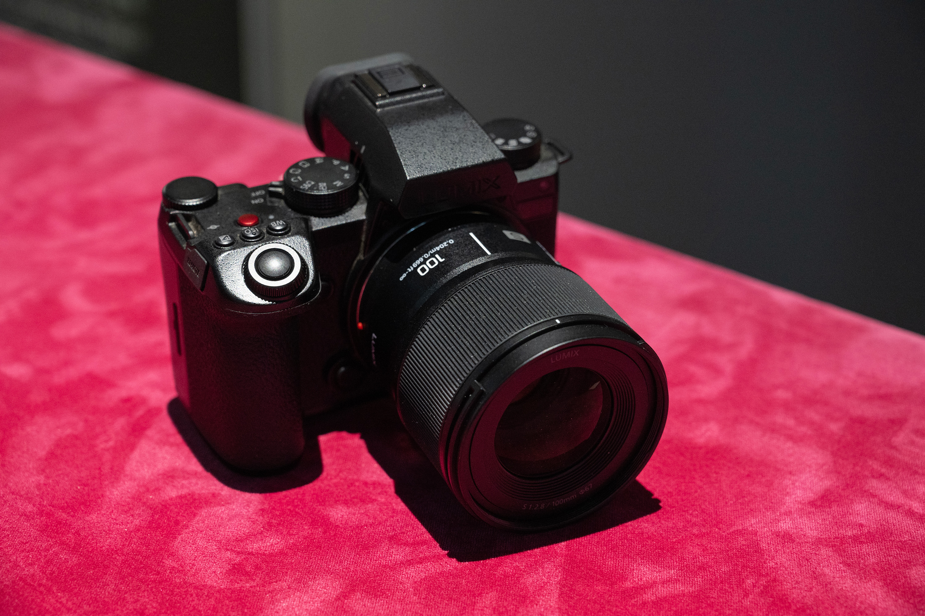 Panasonic’s New Lumix S 100mm f/2.8 Macro Lens on an S5 IIX