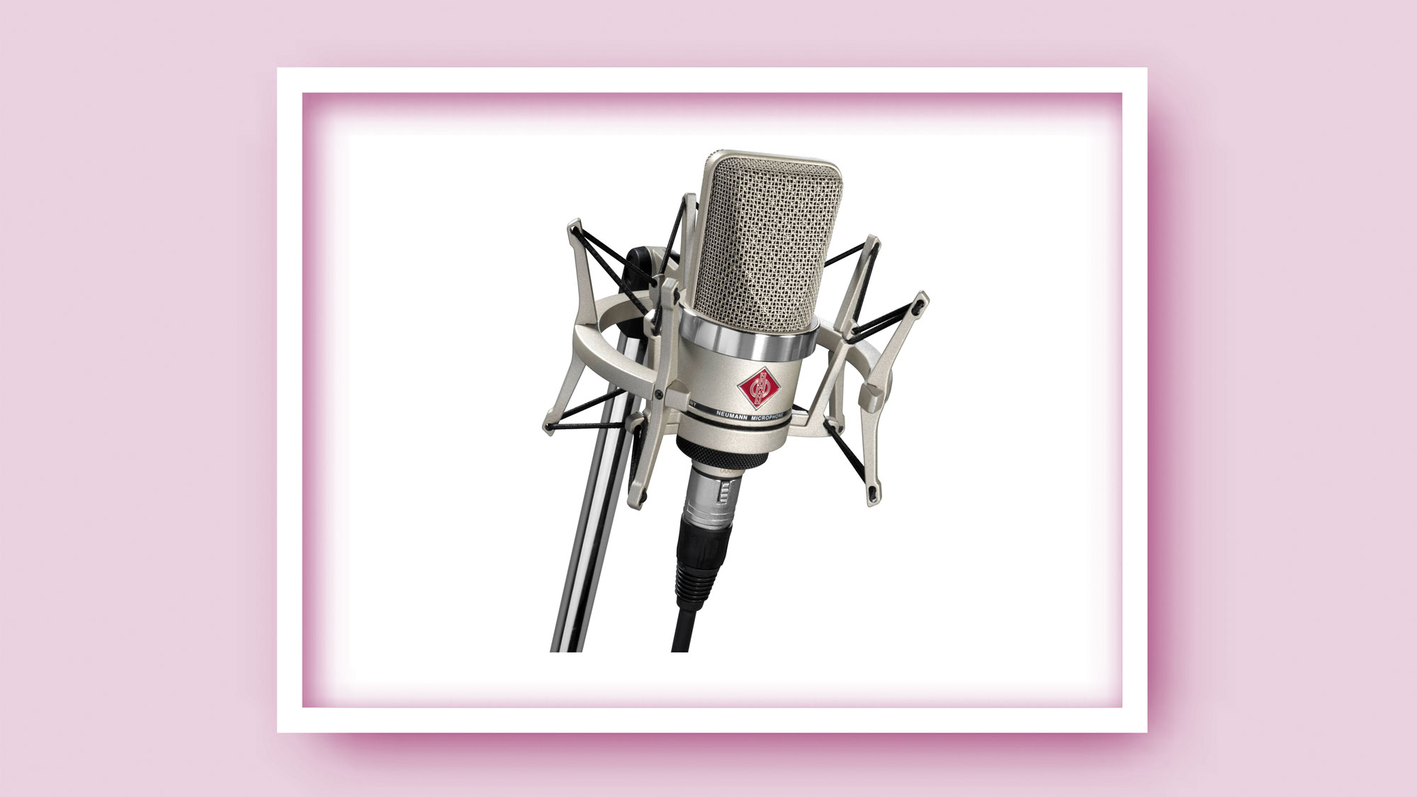 Neumann TLM 102 Studio Set Large-Diaphragm Cardioid Condenser Microphone with Shockmount