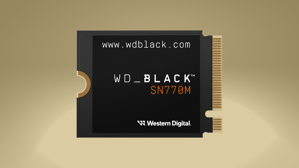 Western Digital WD_Black SN770M M.2 Internal SSD