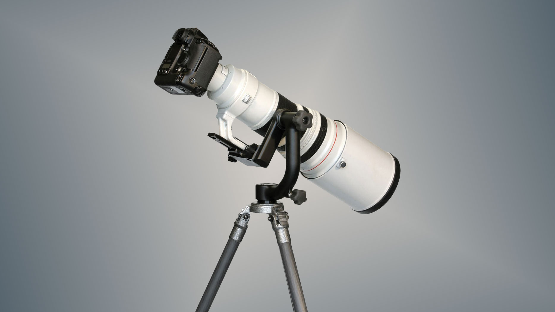 Wimberley WH-200 Gimbal Tripod Head II with Quick Release Plate Wimberley WH-200 Gimbal Tripod Head II with Quick Release Plate