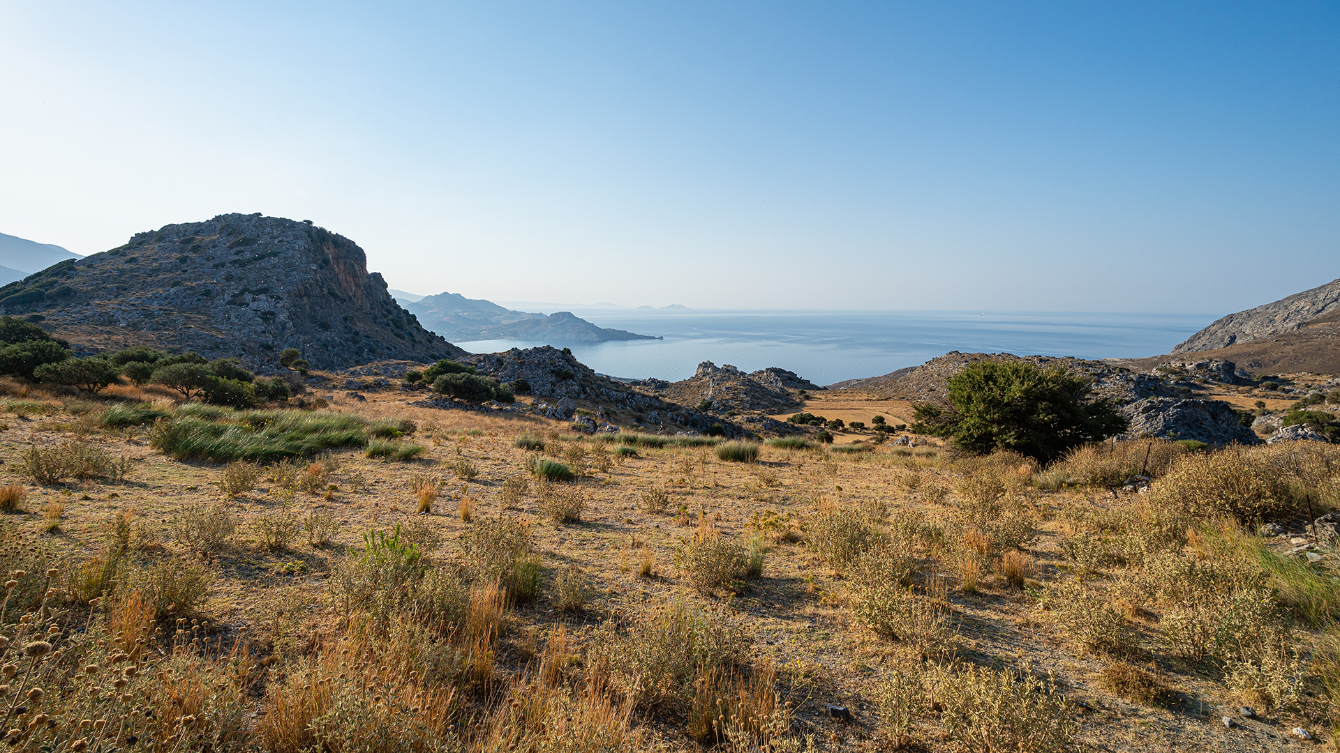 Wide-Angle and Ultra-Wide-Angle Lenses